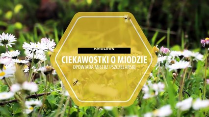 Odc. 3 Amolowe ciekawostki o miodzie