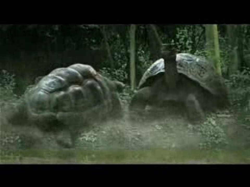 Pub Peugeot 207 Sw (2sur3)