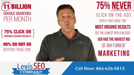 Lewis SEO Off Site SEO