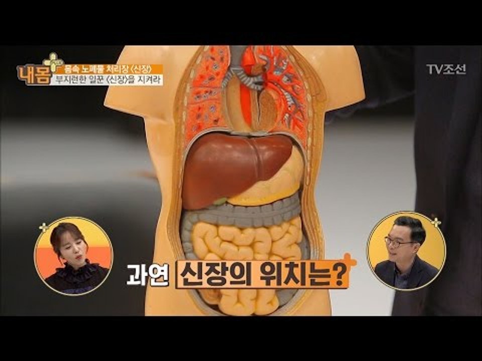 신장을 지켜야하는 이유 [내 몸 플러스] 50회 20170319