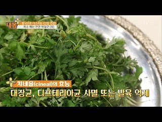 몸 속 독소를 빼는 신장 건강음식 ‘쑥’ [내 몸 플러스] 50회 20170319