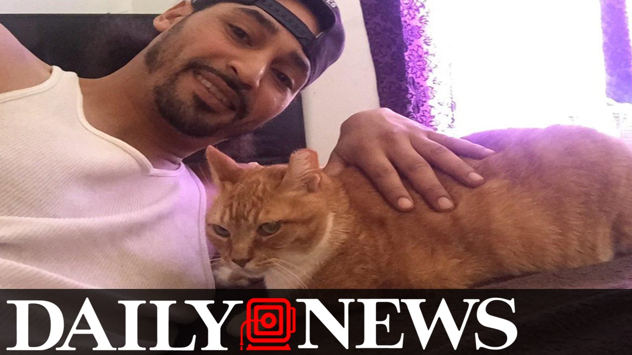 Queens man accused of tossing cat off balcony d...