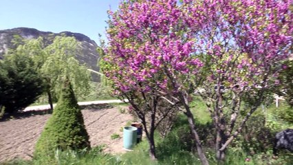 Hautes-Alpes : La Rabasse, une véritable success story