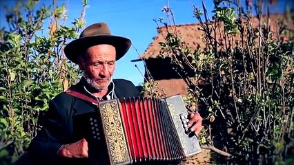 SALAY LAS DULCES CELOSITAS   PRIMICIA  ✔