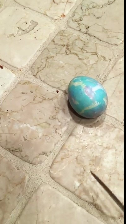 Horror ensues after guy cracks open 9-year-old Easter egg