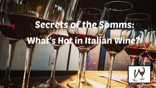 What's Hot in Italian Wine Trends? Top Somms Share Their Secrets