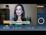 Monique Soltani Live Report on The Weather Channel: Climate Change impact on Wine Corks on AMHQ
