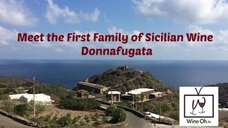 Meet the First Family of Sicilian Wine: Donnafugata
