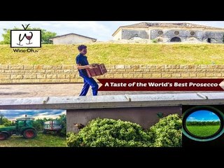 A Taste of the World's Best Prosecco with Masottina Winery & Wine Oh TV