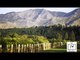 Learn about New Zealand Wine: Sauvignon Blanc and Beyond Wine TV