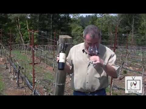 How Water Witch Marc Mondavi Turns Water into WINE