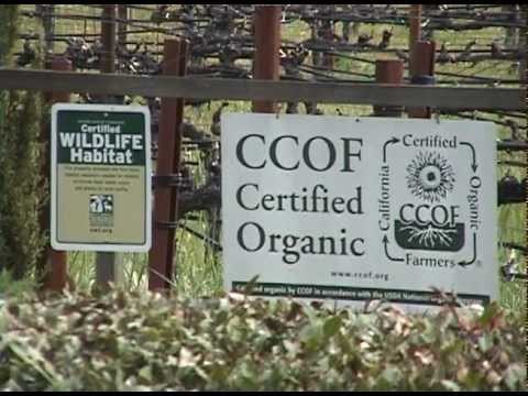 Mendocino County Wine Country Travel Wine Tasting and Tours WINE TV