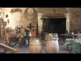 Inside Look at Château Haut-Brion, Chateau Margaux, Chateau d'Yquem Bordeaux, France