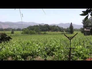 How to Make Wine: Bloom WINE TV