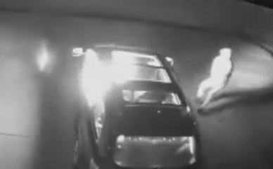 Police Near Houston Seek Help Identifying Arsonists