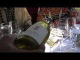 Napa Valley Wine Train: Napa Valley Wine Tours and Travel Tips WINE TV