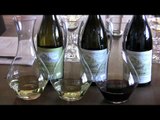 Wine Oh TV: History Behind Hanzell Vineyards