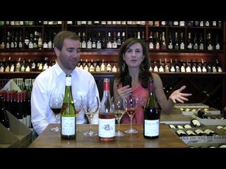3 Summer Wine Picks under 20 Dollars WINE TV