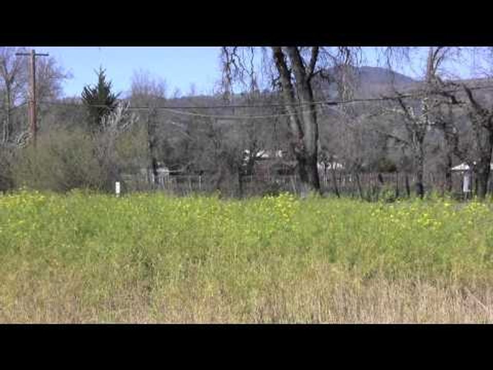 Sonoma County Wine Travel: Francis Ford Coppola Winery WINE TV