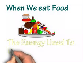 My Big Fat Diet Full Documentary - WeightLossTipss2014