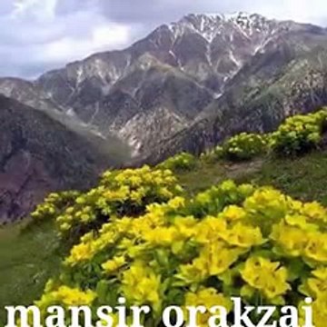 Bahram Jan New Tapey 2017 _ Janan Me Musafar Sho