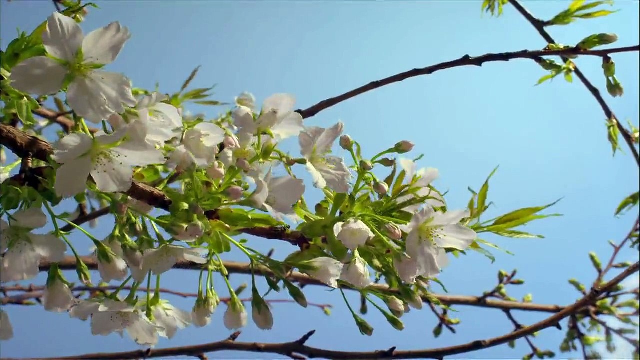 Planet Earth - Full Episode Documentary [HD]