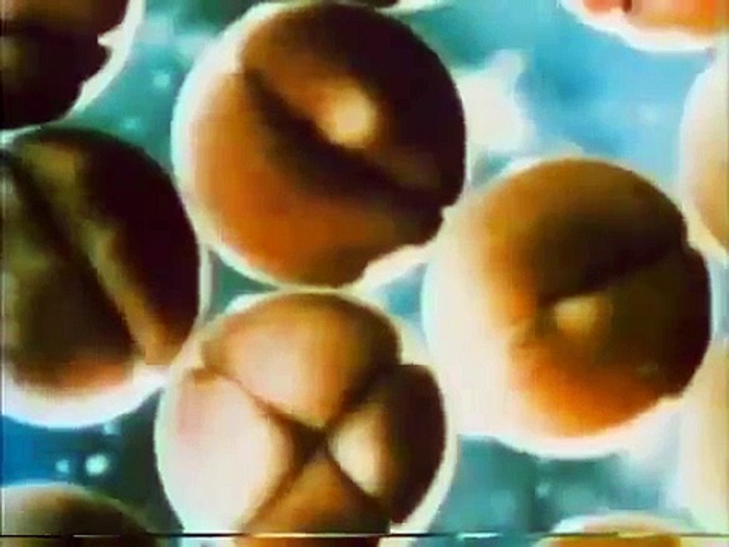 ⁣THE SHAPE OF NATURE - PBS NOVA DOCUMENTARY ( length) part 1/2