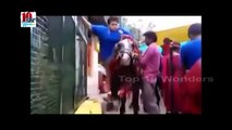 Most Indian Funny Whatsapp Videos - Try Not Laughing - Desi Pranks Version 2016