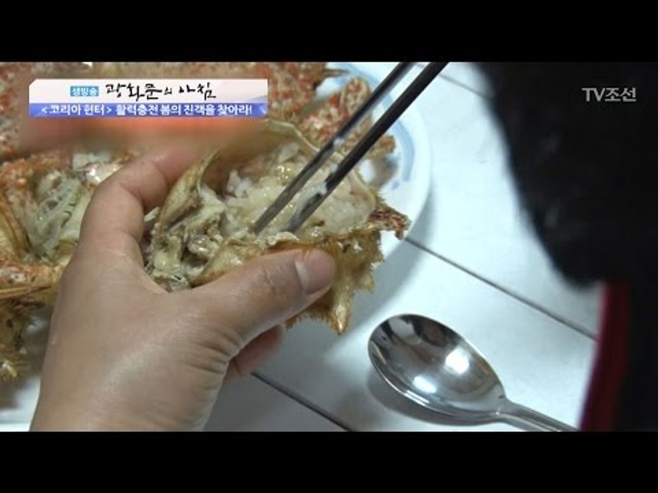 온 몸에 털이 난 왕밤송이게의 맛은? [광화문의 아침] 441회 20170315