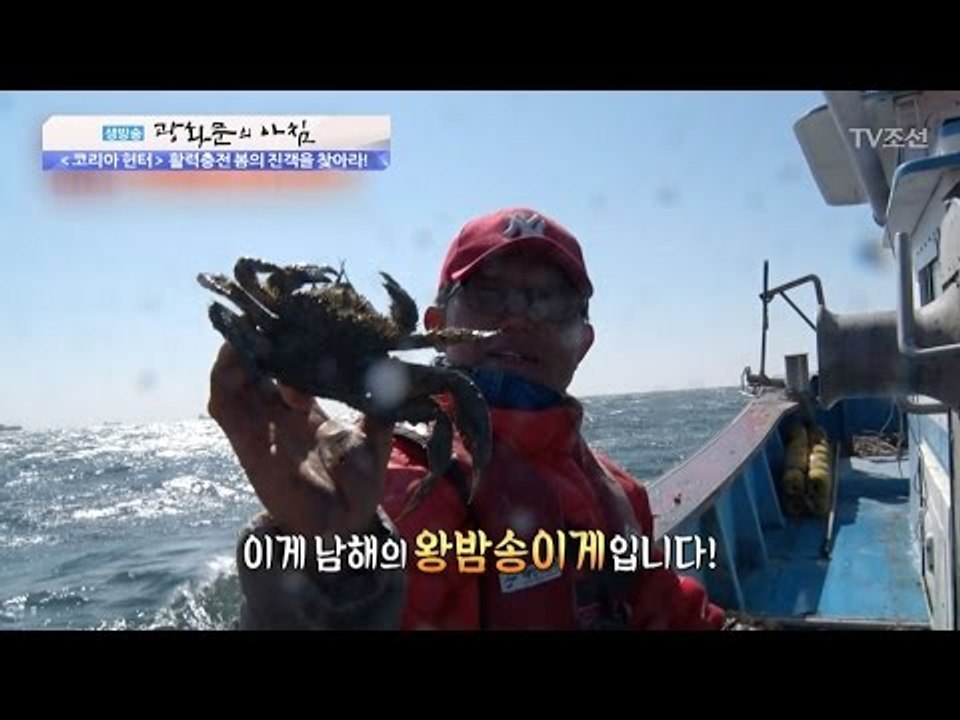 봄의 진객, 왕밤송이게! [광화문의 아침] 441회 20170315
