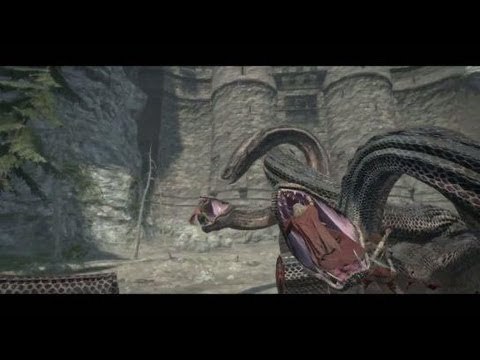 Dragon's Dogma : Pawns trailer