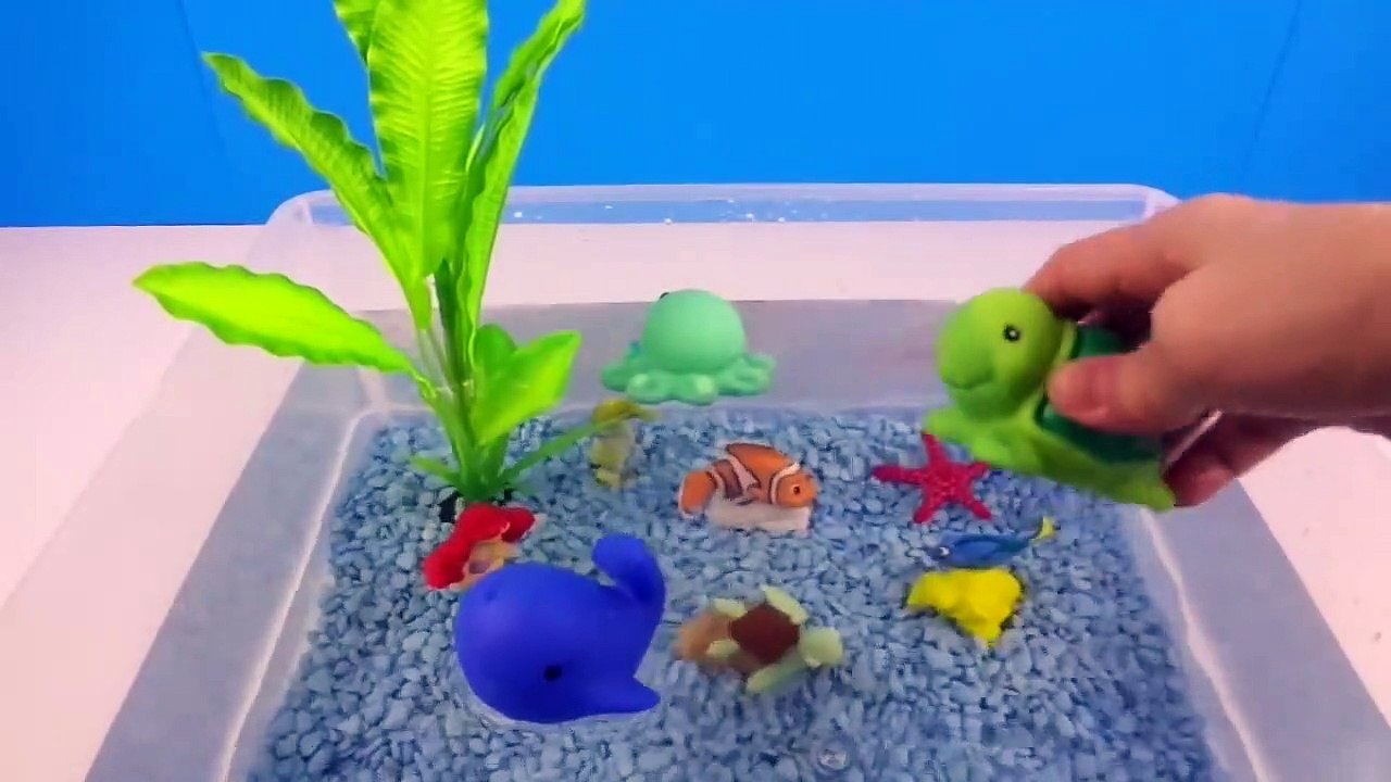 Learn Sea Animal Names, and colors and Count