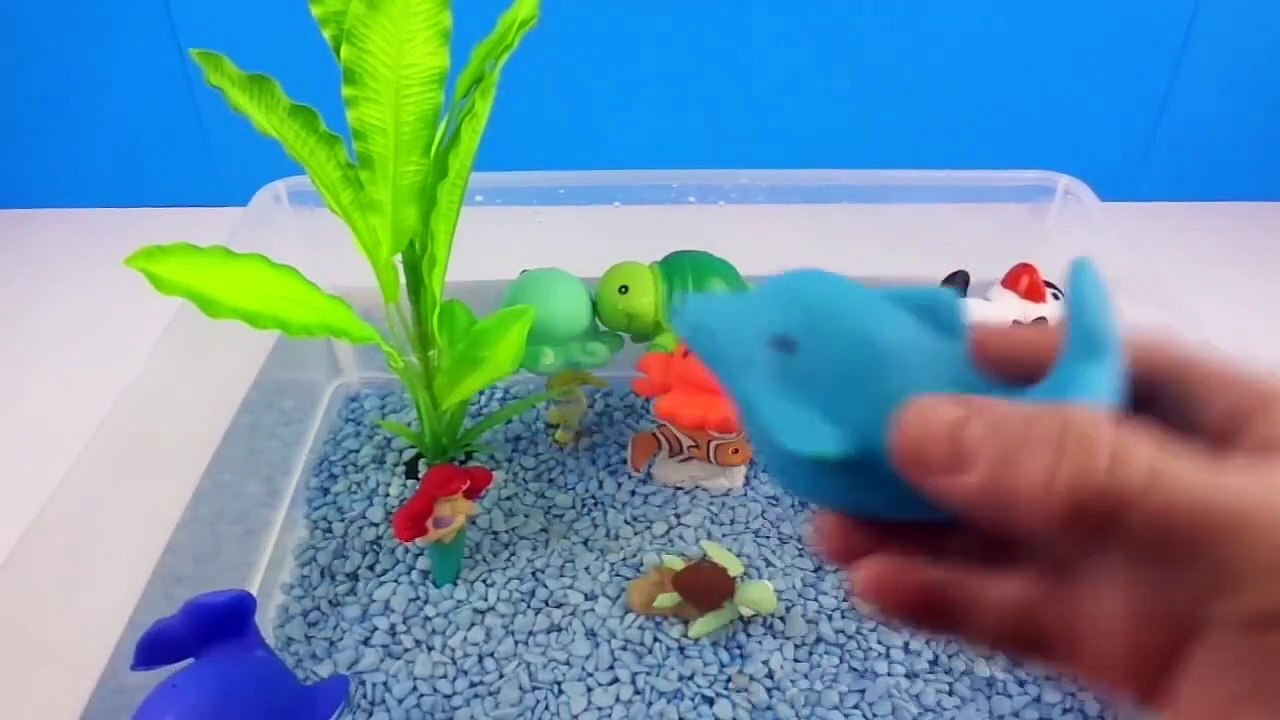 Learn Sea Animal Names, and colors and Counting numb