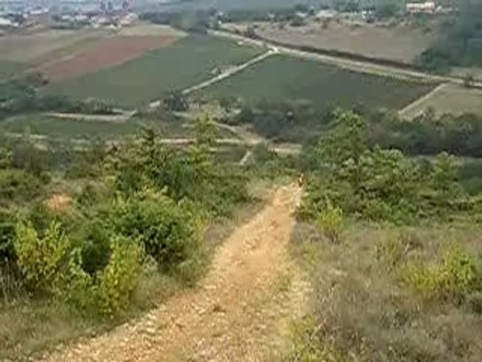 CIMG1548