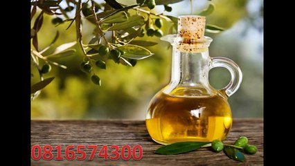 081-657-4300 (Indosat) Jual Minyak Zaitun Deli Serdang