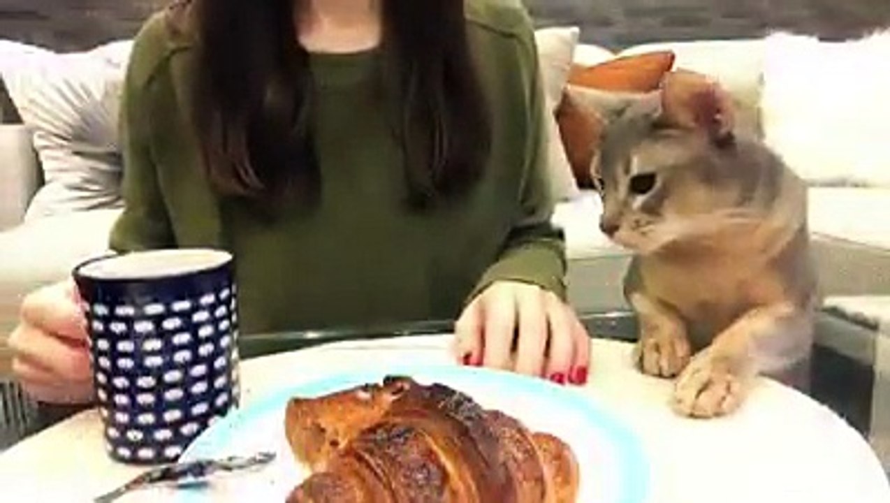 I mean, that croissant does look good...