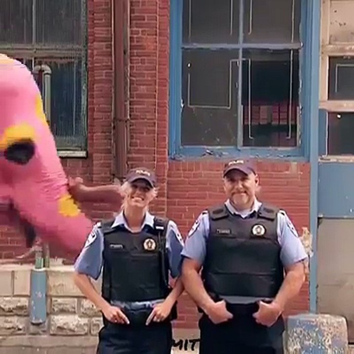 very funny elephont