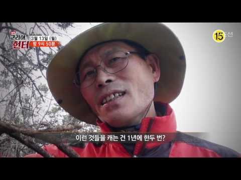 활력 충전 필수! 봄 진객을 찾아라!_코리아헌터 41회 예고