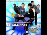 El Gallinazo (Parodia Daddy Yankee) - Los De Yolombo