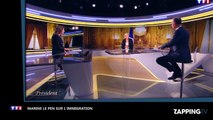 Marine Le Pen : ses propos chocs sur l'immigration (vidéo)