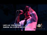 Show El Mambo, Sexy Como El - Los De Yolombo