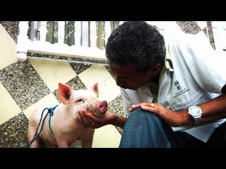 El Marrano (Detras De Camaras) - Los De Yolombo