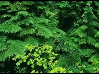 Abdul Basit Abdul Samad Surat Al-Falaq