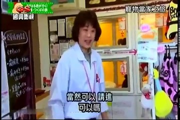 寵物當家之旅 20160130 日本綜藝節目