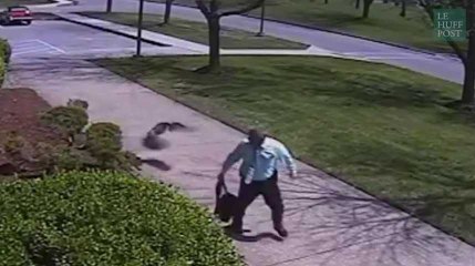 Ces images terribles de la lutte entre une oie et un policier ne pourront vous laisser insensible