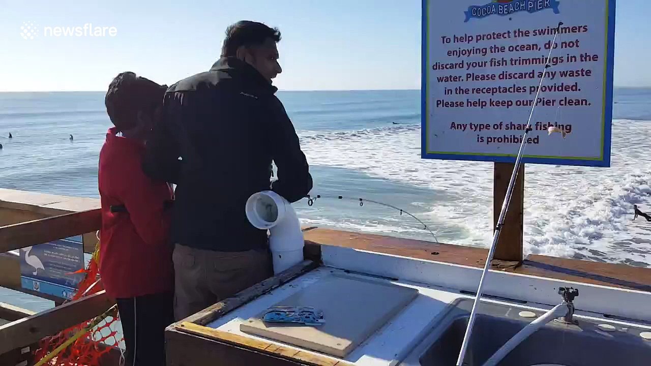 Shark attacks fishermen's catch in Cocoa Beach, Florida