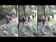 Pakistani militants calling themselves 'Burhan Wani', Watch shocking video| Oneindia News