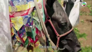 第三極 EP05 粵語配音中字綜藝節目