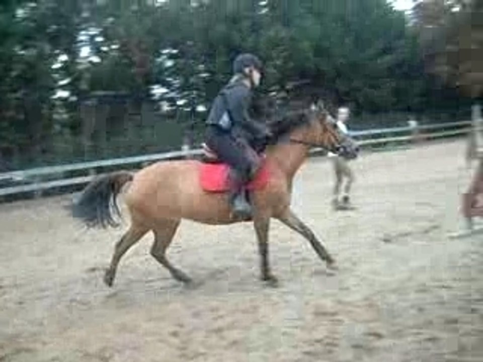 Morgan et Lubie duo de choc