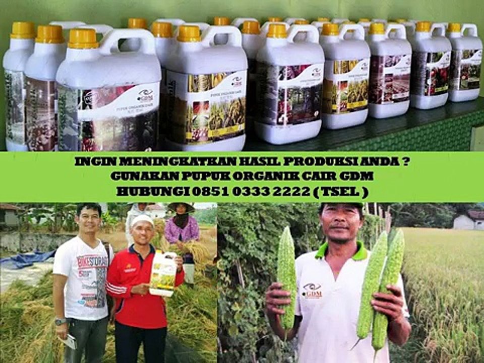 0851 0333 2222 (Tsel) Pupuk Organik Bandar Lampung